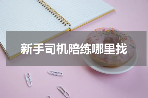 新手司机陪练哪里找