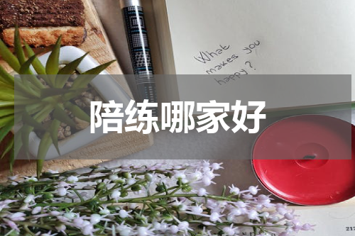 陪练哪家好