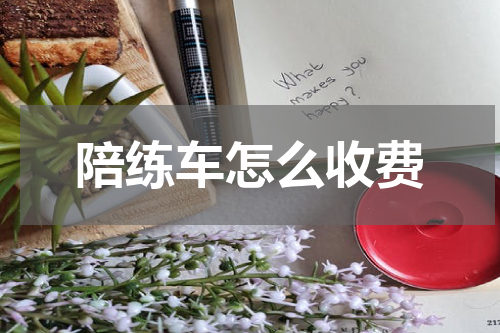 陪练车怎么收费