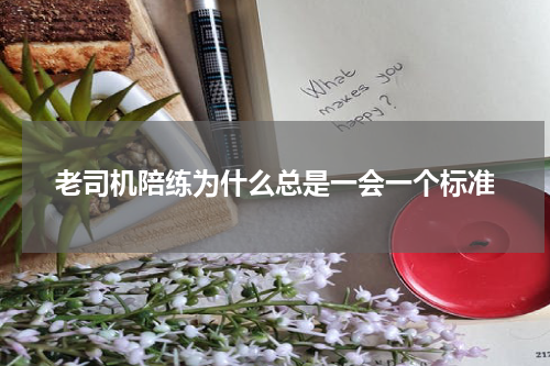 老司机陪练为什么总是一会一个标准