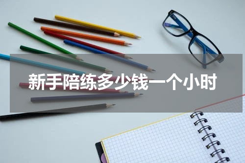 新手陪练多少钱一个小时