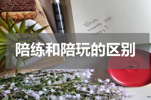 陪练和陪玩的区别