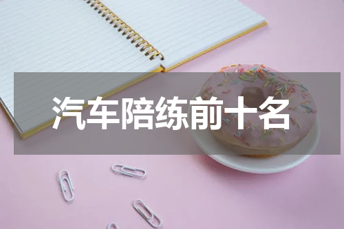 汽车陪练前十名