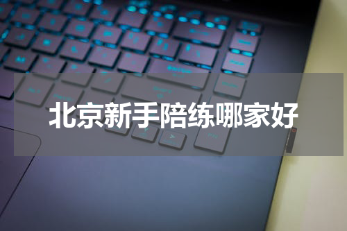 北京新手陪练哪家好