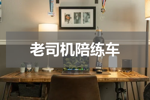 老司机陪练车