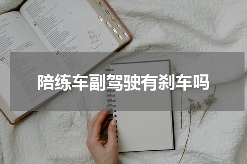 陪练车副驾驶有刹车吗