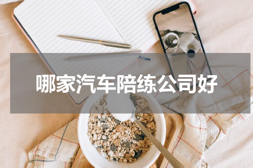 哪家汽车陪练公司好