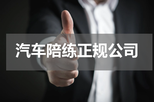 汽车陪练正规公司