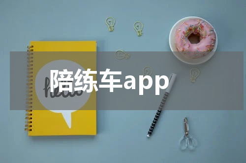 陪练车app