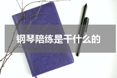 钢琴陪练是干什么的