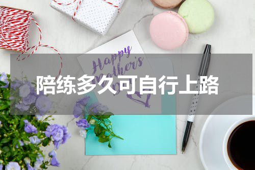 陪练多久可自行上路