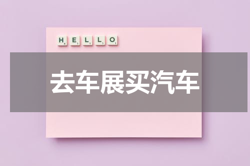 去车展买汽车