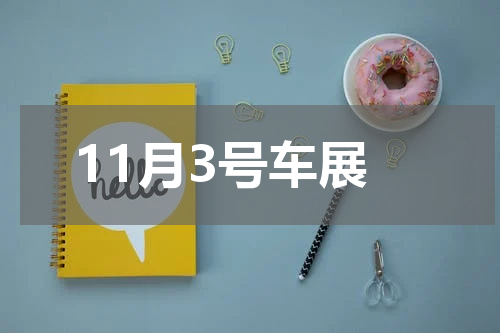 11月3号车展