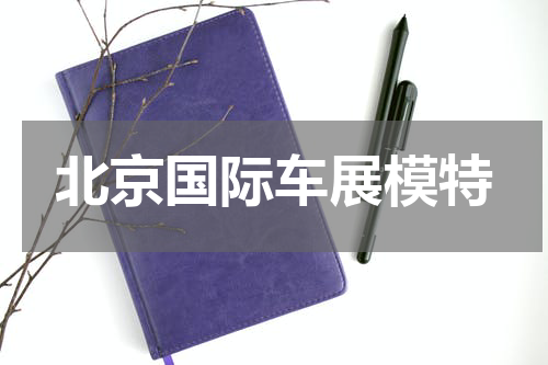 北京国际车展模特