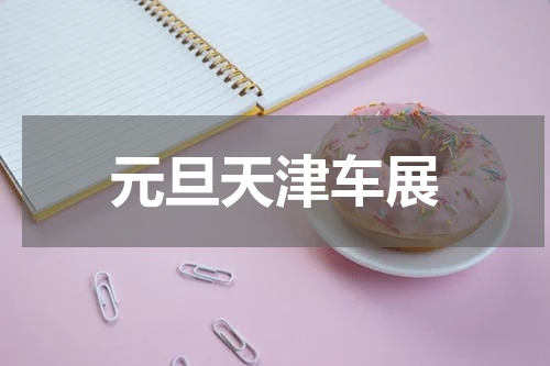 元旦天津车展