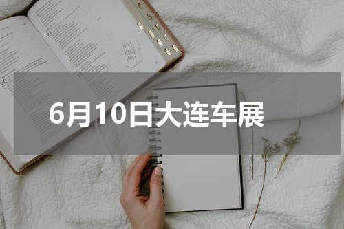 6月10日大连车展