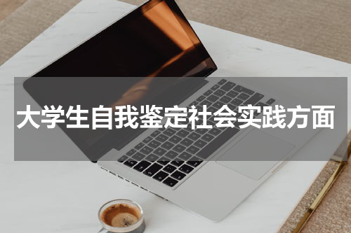 大学生自我鉴定社会实践方面