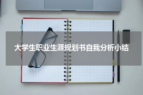 大学生职业生涯规划书自我分析小结