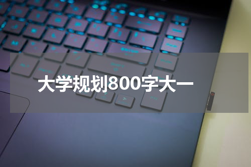 大学规划800字大一