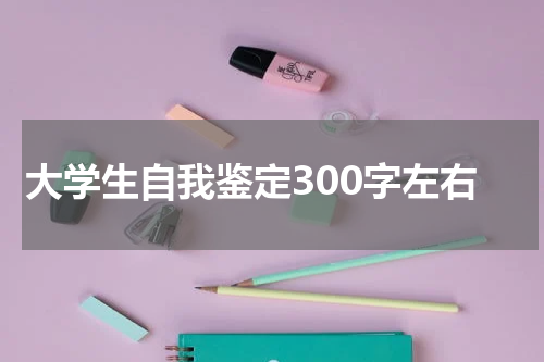 大学生自我鉴定300字左右