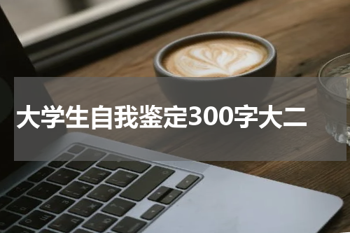 大学生自我鉴定300字大二