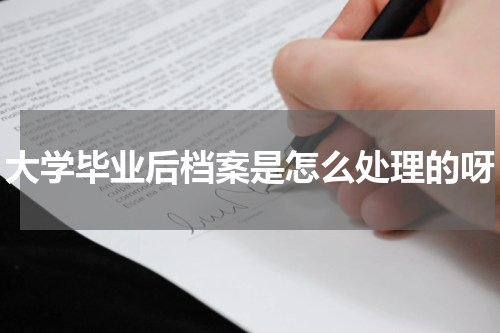 大学毕业后档案是怎么处理的呀