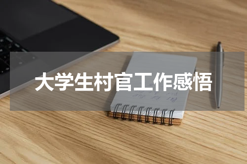 大学生村官工作感悟