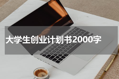 大学生创业计划书2000字