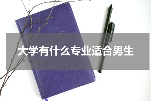 大学有什么专业适合男生