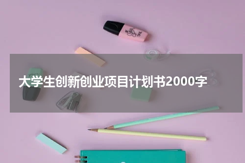 大学生创新创业项目计划书2000字