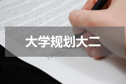 大学规划大二