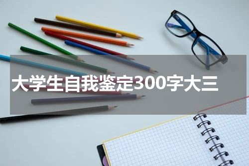 大学生自我鉴定300字大三