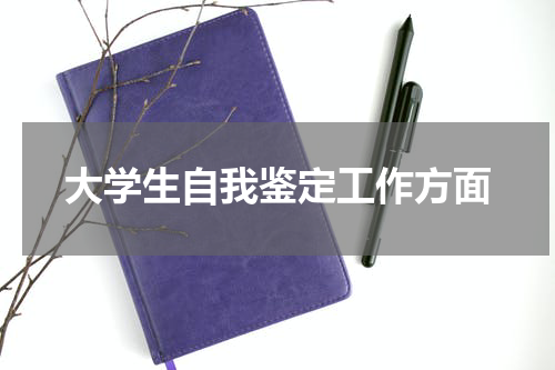 大学生自我鉴定工作方面