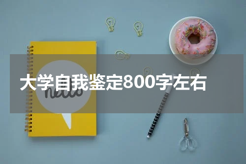 大学自我鉴定800字左右