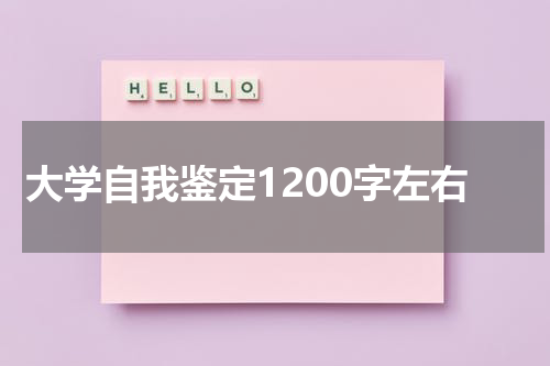 大学自我鉴定1200字左右