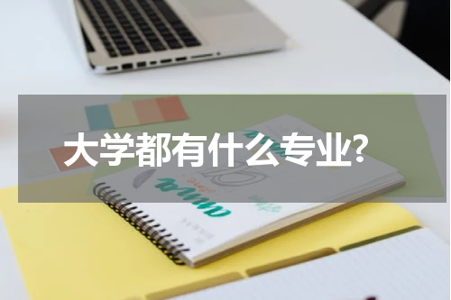 大学都有什么专业?