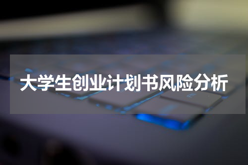 大学生创业计划书风险分析