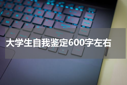 大学生自我鉴定600字左右