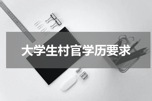 大学生村官学历要求