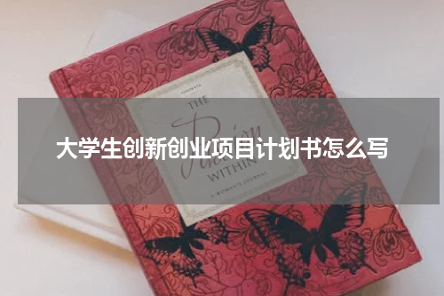 大学生创新创业项目计划书怎么写