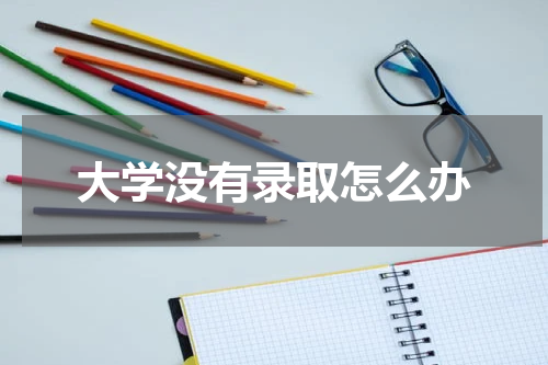 大学没有录取怎么办