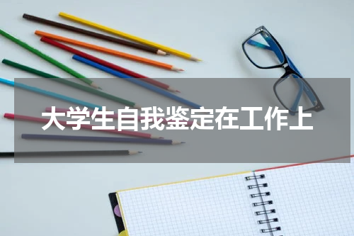 大学生自我鉴定在工作上