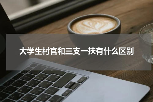 大学生村官和三支一扶有什么区别