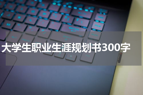 大学生职业生涯规划书300字