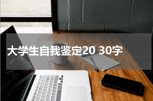 大学生自我鉴定20 30字
