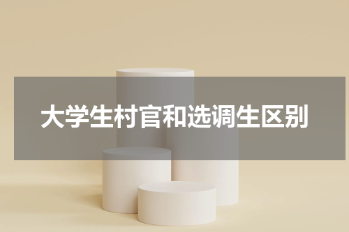大学生村官和选调生区别
