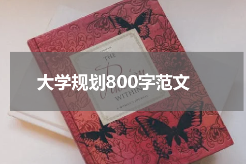 大学规划800字范文