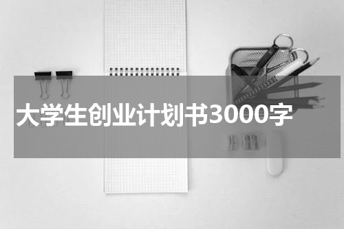 大学生创业计划书3000字