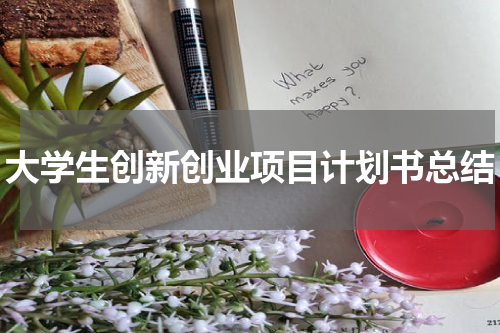 大学生创新创业项目计划书总结