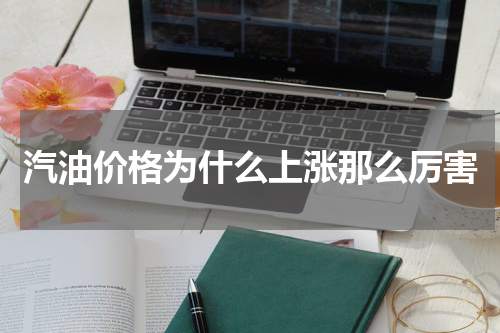 汽油价格为什么上涨那么厉害